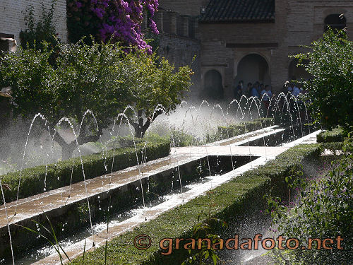 Generalife (4) - fountain