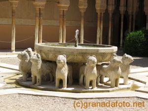Courtyard of Lions - fountain
